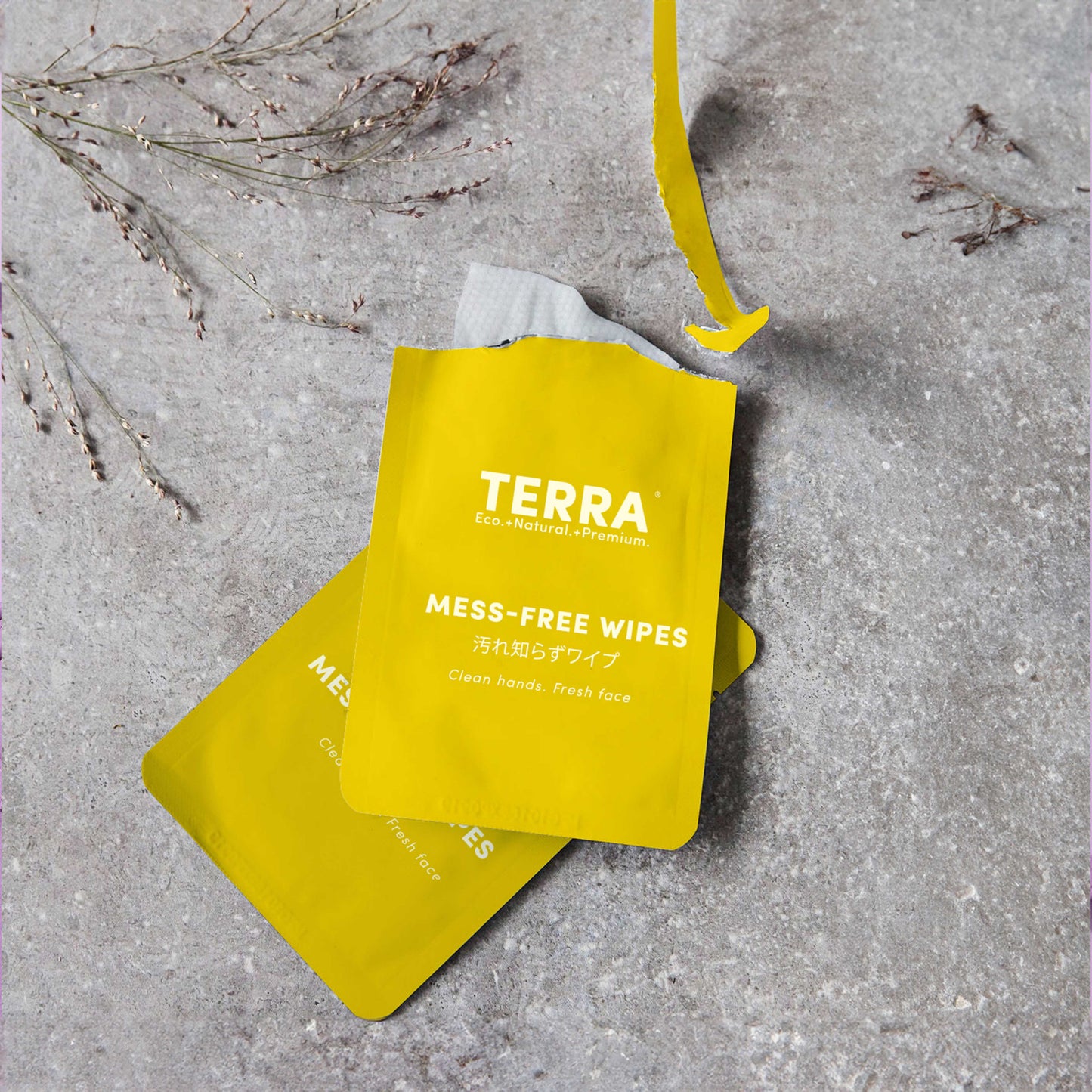 Terra Mess-Free Wipes 30s x 6 Carton Pack