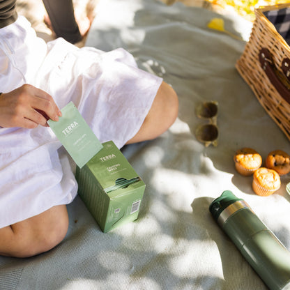 Terra Camping Wipes L 15 x 6 Carton Pack