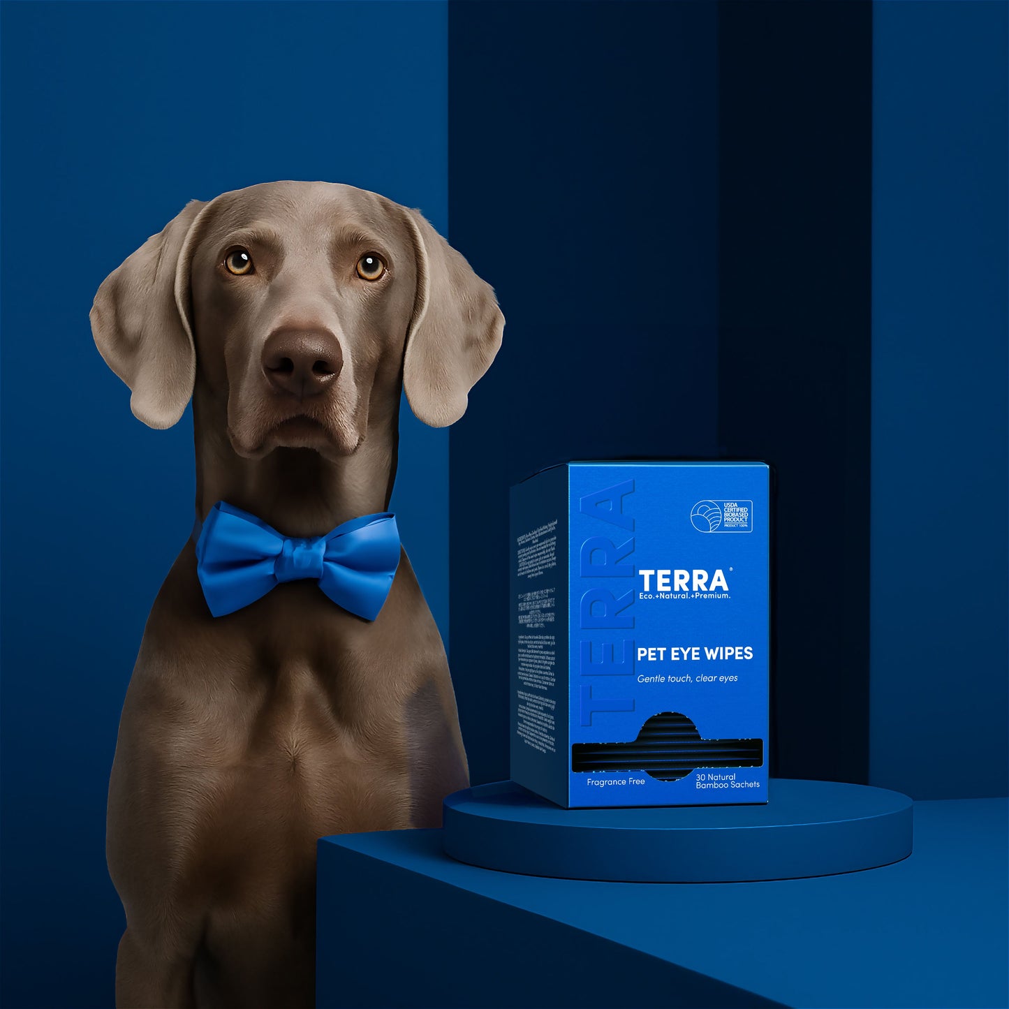 Terra Pet Eye Wipes 30s x 6 Carton Pack